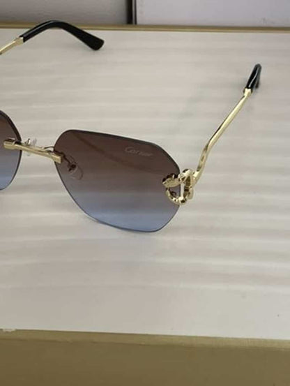 CarTi3R_8822_brown_blue