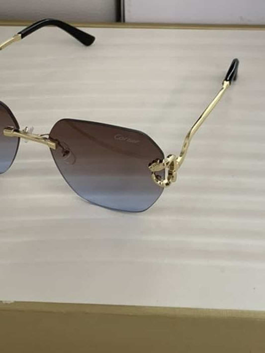 CarTi3R_8822_brown_blue