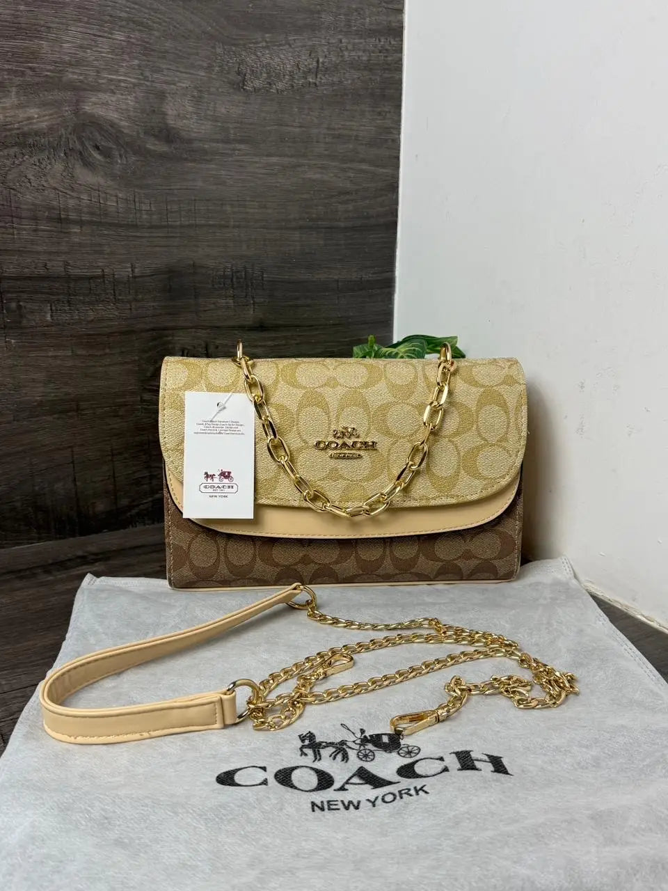 COACH_Sling_Shoulder_Bag_1073